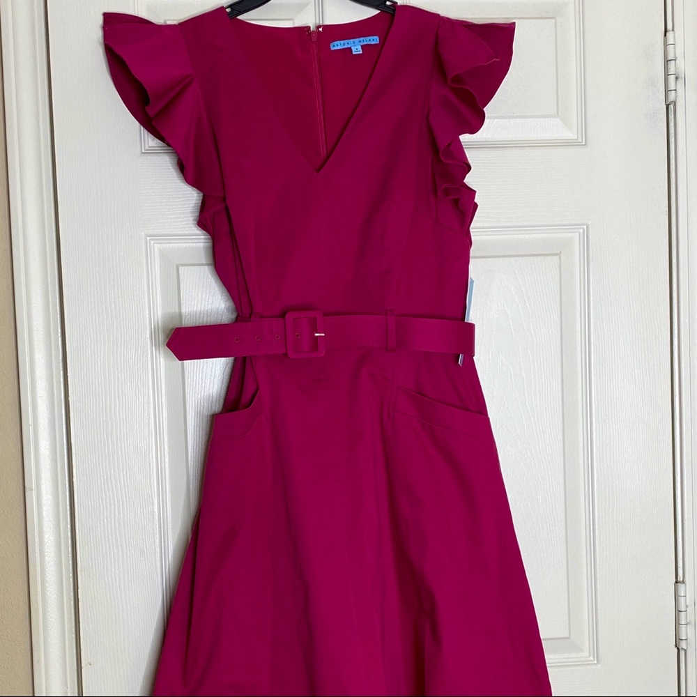 Puff Sleeve Antonio Melani Dress